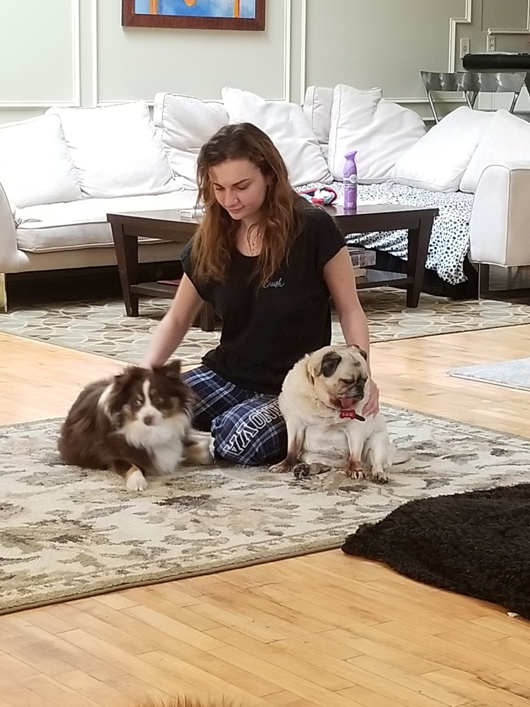 The photo shows our daughter wearing a pajama and petting our Pug Daisy and mini-Australian Shepherd Rollo.