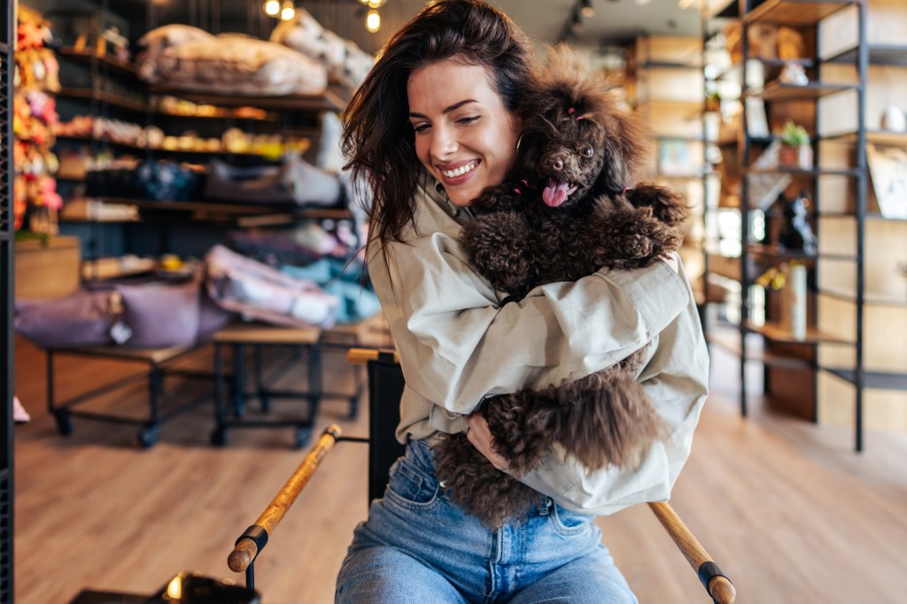 Beautiful and happy young woman sitting in modern pet shop cafe bar and enjoying in fresh coffee together with her adorable brown toy poodle.