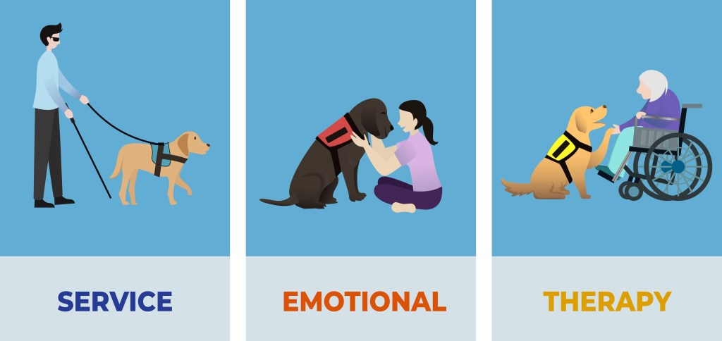 The illustration shows a service dog on the left, an emotional support dog in the middle, and a therapy dog in a hospital on the right.